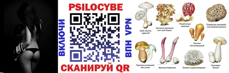 Галлюциногенные грибы Psilocybe  МЕГА как зайти  Вольск 